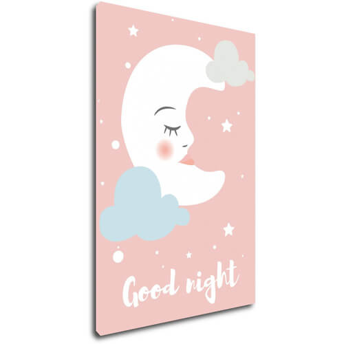 Obraz Good night pink moon