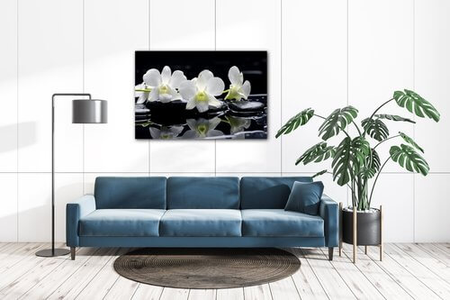 Obraz Bílé orchidee na černém pozadí - 90 x 60 cm