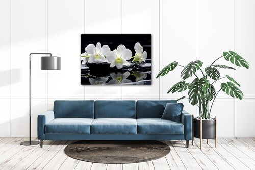 Obraz Bílé orchidee na černém pozadí - 70 x 50 cm