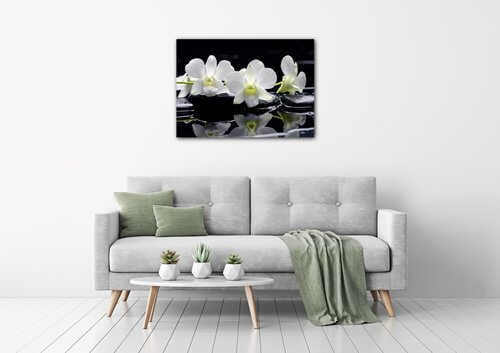 Obraz Bílé orchidee na černém pozadí - 70 x 50 cm