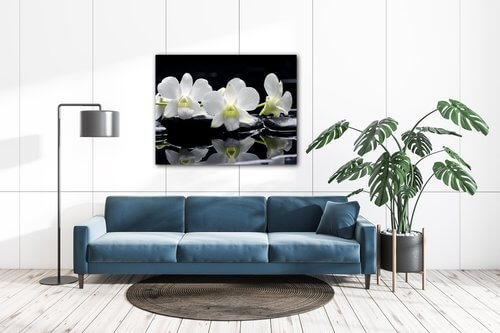 Obraz Bílé orchidee na černém pozadí - 90 x 70 cm