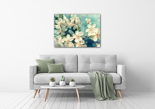 Obraz Třešňový květ modré pozadí - 90 x 60 cm