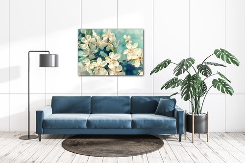 Obraz Třešňový květ modré pozadí - 70 x 50 cm