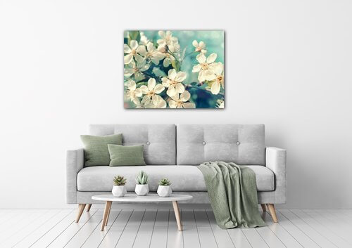 Obraz Třešňový květ modré pozadí - 90 x 70 cm