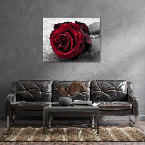 Obraz Růže na černobílém pozadí - 90 x 70 cm