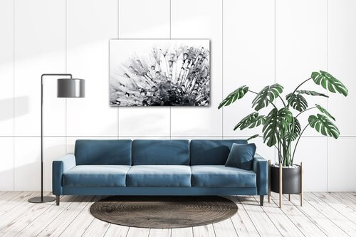Obraz Pampeliška s kapkami vody - 90 x 60 cm