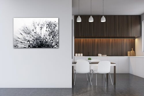 Obraz Pampeliška s kapkami vody - 90 x 60 cm