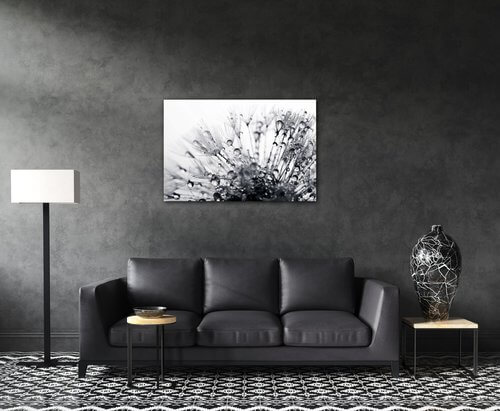 Obraz Pampeliška s kapkami vody - 90 x 60 cm