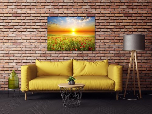 Obraz Makové pole - 70 x 50 cm