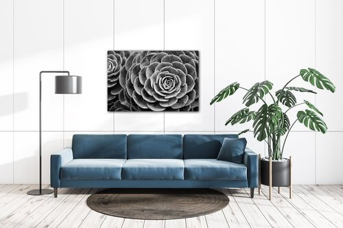 Obraz Květ černobílý detail - 60 x 40 cm