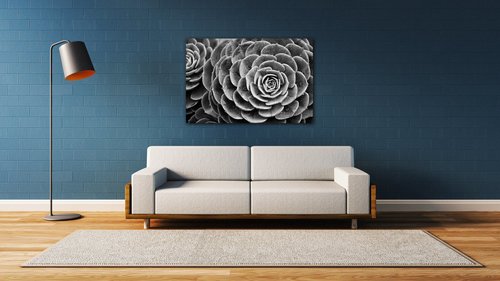Obraz Květ černobílý detail - 60 x 40 cm
