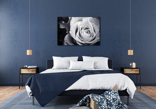 Obraz Černobílá růže s kapkami vody - 60 x 40 cm