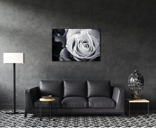 Obraz Černobílá růže s kapkami vody - 90 x 60 cm
