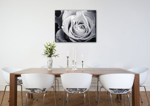 Obraz Černobílá růže s kapkami vody - 90 x 70 cm