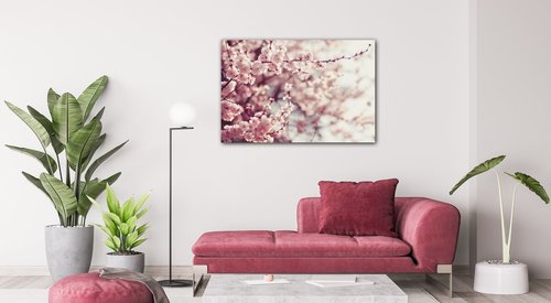 Obraz Světle růžové květy - 60 x 40 cm