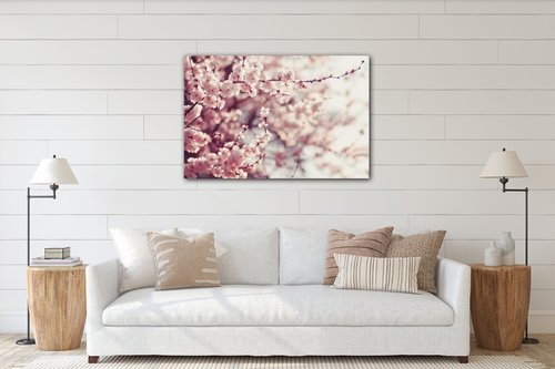 Obraz Světle růžové květy - 60 x 40 cm