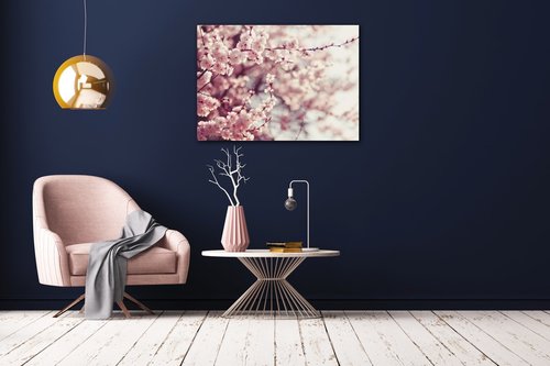 Obraz Světle růžové květy - 70 x 50 cm