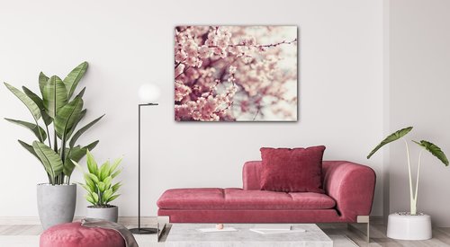 Obraz Světle růžové květy - 90 x 70 cm