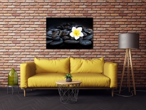 Obraz Bílý květ na černých kamenech - 90 x 60 cm