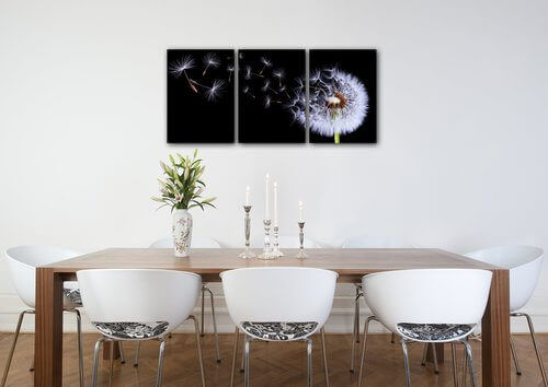 Obraz Pampeliška na černém pozadí - 150 x 70 cm (3 dílný)