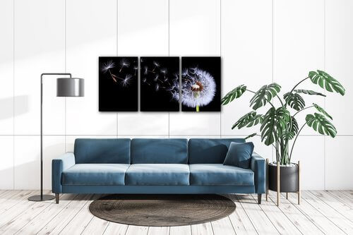 Obraz Pampeliška na černém pozadí - 150 x 70 cm (3 dílný)