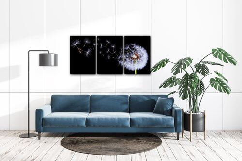 Obraz Pampeliška na černém pozadí - 120 x 60 cm (3 dílný)