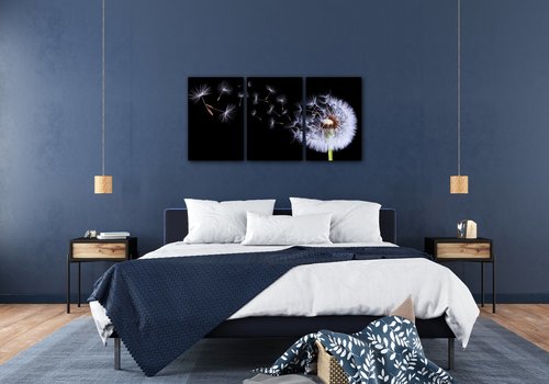 Obraz Pampeliška na černém pozadí - 120 x 60 cm (3 dílný)