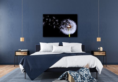 Obraz Pampeliška na černém pozadí - 90 x 60 cm
