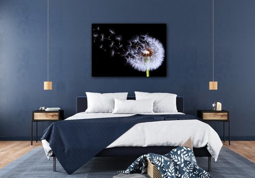 Obraz Pampeliška na černém pozadí - 70 x 50 cm