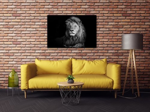 Obraz Lev černobílý - 60 x 40 cm