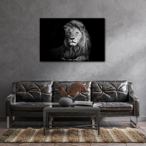 Obraz Lev černobílý - 60 x 40 cm