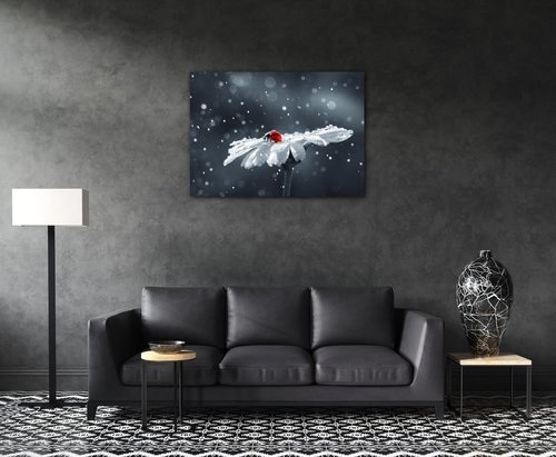 Obraz Beruška na květině - 70 x 50 cm