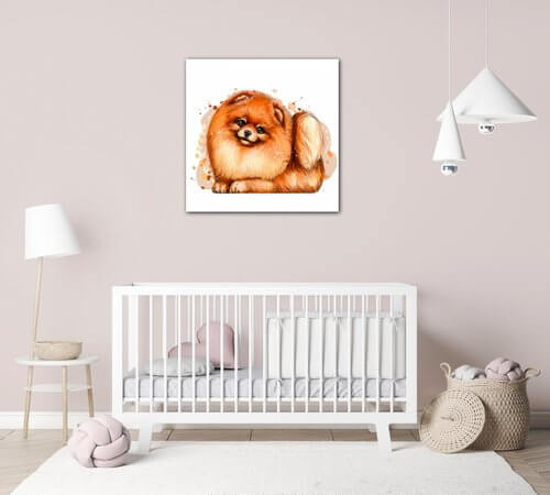Obraz Pejsek Pomeranian - 40 x 40 cm