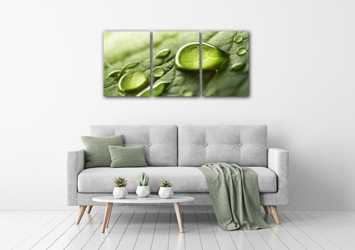 Obraz Kapky vody na listu - 150 x 70 cm (3 dílný)