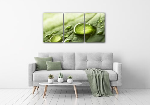 Obraz Kapky vody na listu - 120 x 60 cm (3 dílný)