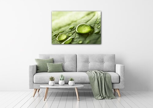 Obraz Kapky vody na listu - 90 x 60 cm