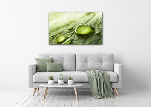 Obraz Kapky vody na listu - 50 x 30 cm