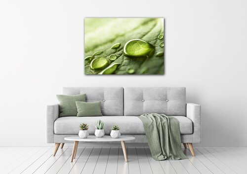Obraz Kapky vody na listu - 70 x 50 cm