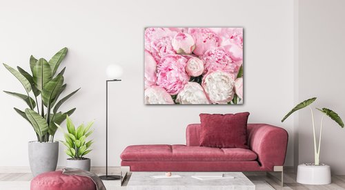 Obraz Růžové pivoňky - 90 x 70 cm