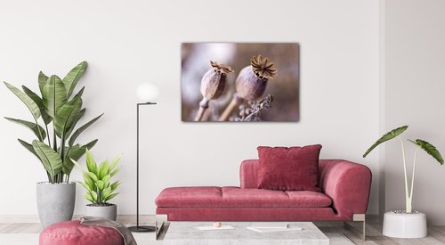 Obraz Suché květy skandinávský styl - 60 x 40 cm