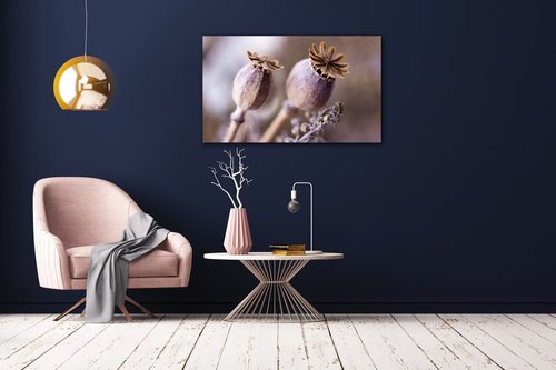 Obraz Suché květy skandinávský styl - 50 x 30 cm