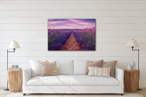 Obraz Levandulové pole - 90 x 60 cm