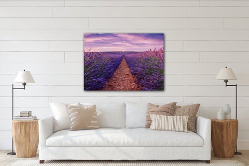Obraz Levandulové pole - 70 x 50 cm