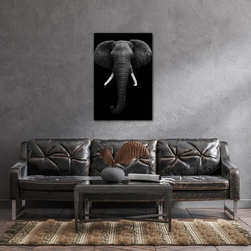 Obraz Slon černobílý - 60 x 90 cm