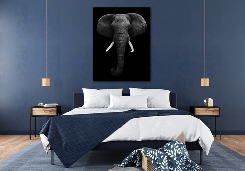 Obraz Slon černobílý - 70 x 90 cm