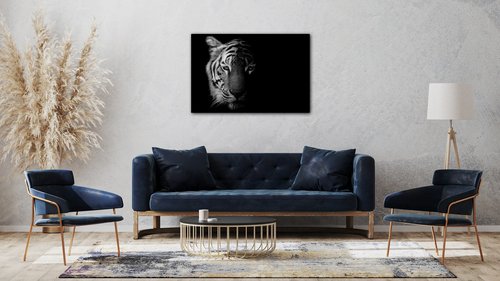 Obraz Tygr černobílý - 90 x 60 cm