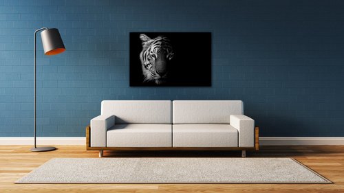 Obraz Tygr černobílý - 90 x 60 cm