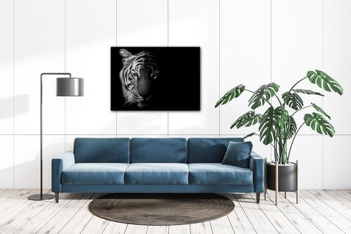 Obraz Tygr černobílý - 70 x 50 cm