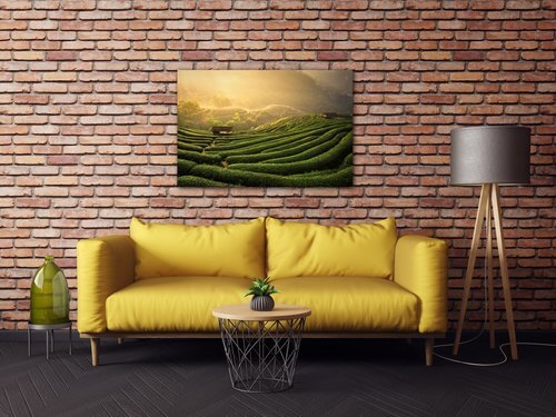 Obraz Východ slunce čajovníková plantáž - 60 x 40 cm