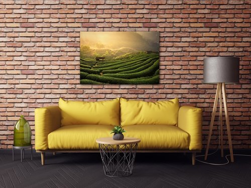 Obraz Východ slunce čajovníková plantáž - 90 x 60 cm